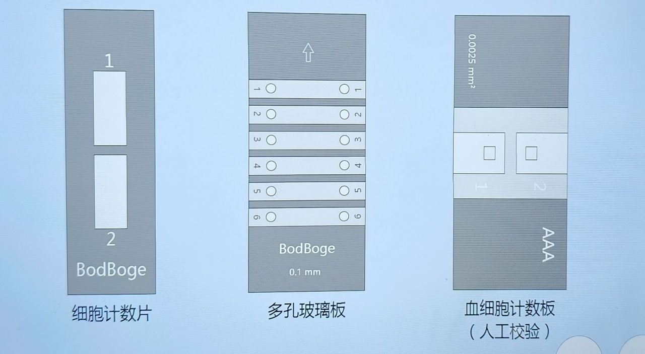 血細胞計數(shù)片-上官網(wǎng)修改